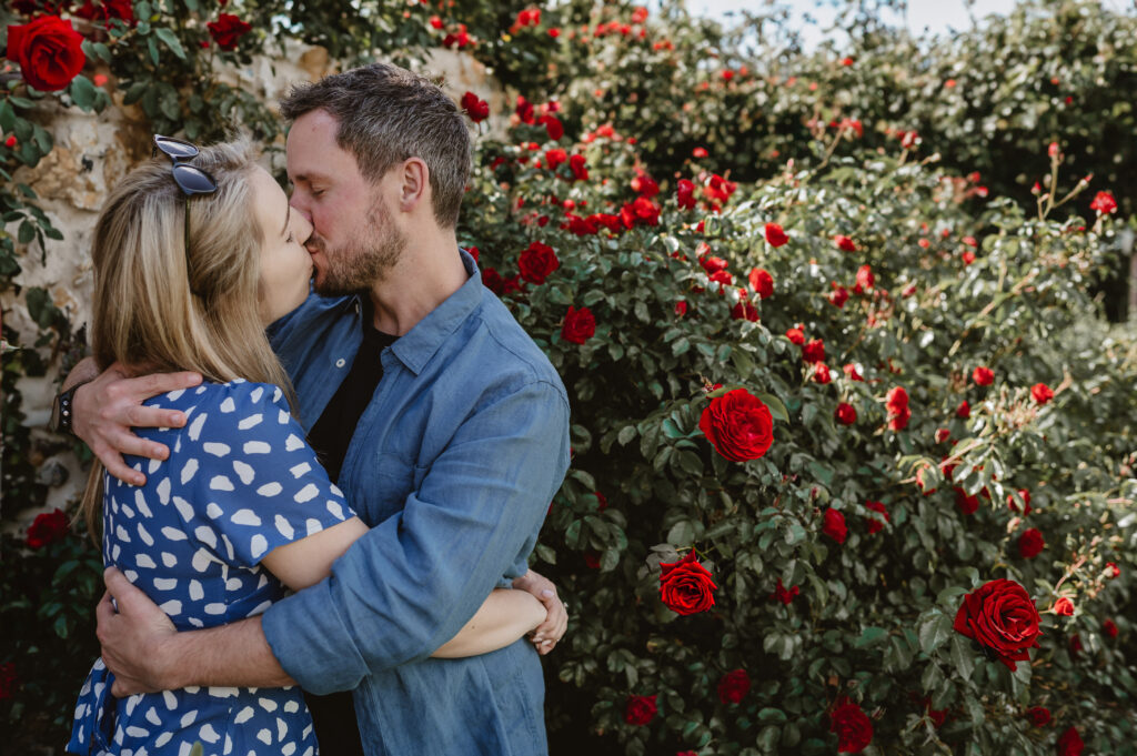 couple kissing in front of english red roses on a sunny day